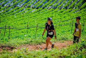 BIB: 610
                            <button type="button" onclick="openModal(19163911)" class="btn btn-primary btn-sm float-right btn-popup" data-toggle="modal" data-target=".modal-high-quality">
                        <i class="fas fa-shopping-cart"></i> Add to Cart
                    </button>
                                            <button type="button" onclick="isThisMe(19163911, true)" class="btn btn-success btn-sm float-right btn-popup btn-isme hidden" data-toggle="tooltip" data-placement="bottom" title="นี่คือรูปของคุณใช่ไหม คลิกที่นี่เพื่อเอาเข้าอัลบั้ม">
                        <i class="fas fa-plus"></i> Add to album
                    </button>
                    <button type="button" onclick="isThisMe(19163911, false)" class="btn btn-warning btn-sm float-right btn-popup btn-isnotme hidden">
                        <i class="fas fa-ban"></i> Remove from album
                    </button>